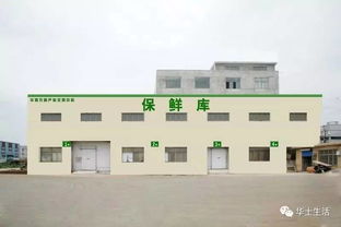 萬(wàn)眾期待，終于等到你——華西農(nóng)副產(chǎn)品交易中心水果區(qū)9月18日盛大開(kāi)業(yè)