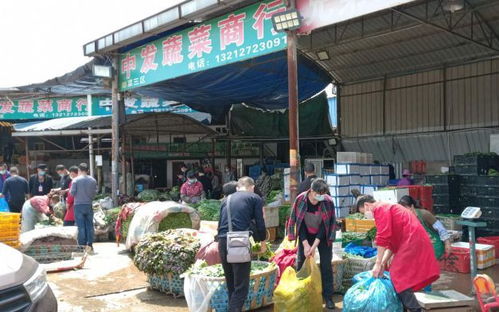 武漢解封首日 白沙洲農(nóng)副產(chǎn)品大市場(chǎng)車流激增 供應(yīng)穩(wěn)定