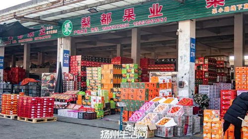 658畝大型商業地塊亮相，揚州這一區域展現農副產品流通新野心