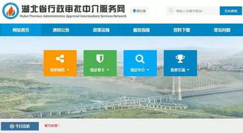 不忘初心，繼續前進 如何借力“中介超市”淘到高性價比服務——以湖北率先搭建審批中介超市為例